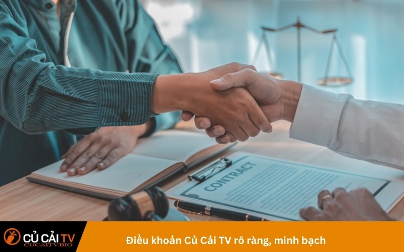 Điều khoản Củ Cải TV rõ ràng, minh bạch