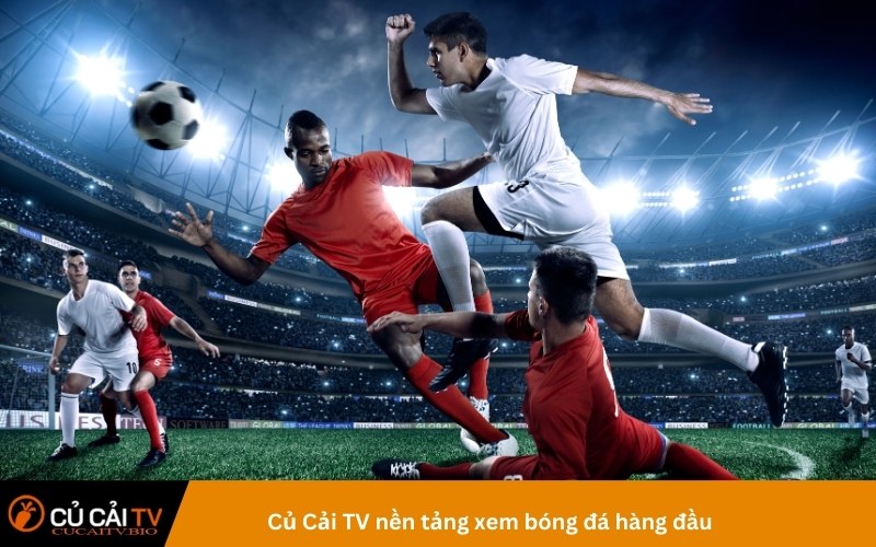 Củ Cải TV nền tảng xem bóng đá hàng đầu