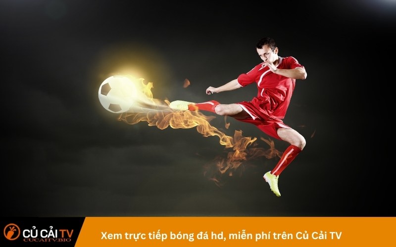 Xem trực tiếp bóng đá hd, miễn phí trên Củ Cải TV