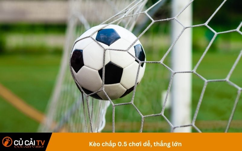 Kèo chấp 0.5 chơi dễ, thắng lớn