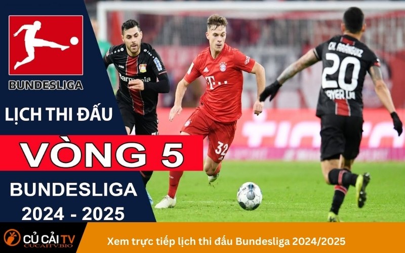 Xem trực tiếp lịch thi đấu Bundesliga 2024/2025