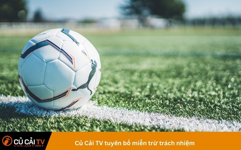 Củ Cải TV tuyên bố miễn trừ trách nhiệm